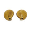 Umi Snail Sea Sponge