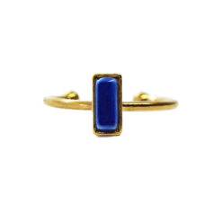 Hestia Cobalt