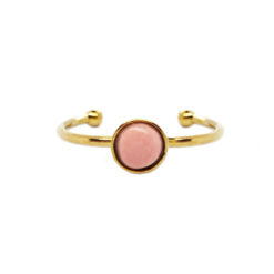 Clio Small Pink
